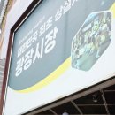 이마트24종로창신점 | 광장시장 맛집 신 창신육회 육회탕탕이 빈대떡 떡볶이 다먹음 주차