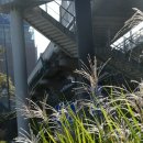 황강생태공원 A-02 | 서울 여행지 코스 갈만한곳 | 여의도 샛강생태공원 | 영등포 가볼만한곳