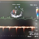 지경희동물병원 이미지