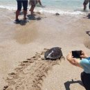 그리던바다 이미지