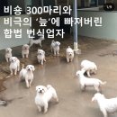 유성동양경매장 이미지