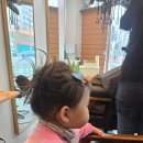 깡아지미용실 이미지