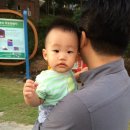 함평자연생태공원캠핑장 이미지