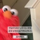 양언니브로우 네이버블로그
