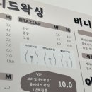 비니드헤어 이미지