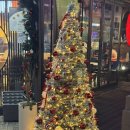 인계동 중소기업은행옆 | 수원시청역 혼밥 인계동 24시간 덮밥 맛집 료혼본관