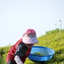 대한농장2 이미지