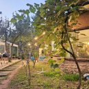 박터진흥부네 이미지