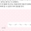 리틀키키 이미지