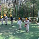 정관장태권도장 이미지