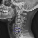 서울척척의원 이미지