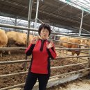 신농농장 이미지