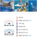 호스닷컴 | 괌 돌핀투어&별빛투어 지금괌닷컴 내돈내산 솔직후기 시간 복장 등