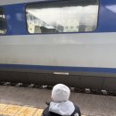 로니의 기차 이미지