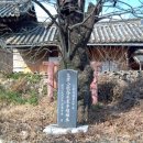 남사-13 이미지