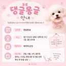 댕글 몽글 네이버블로그
