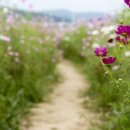 희망행정사 이미지