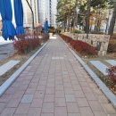 수목원중앙부동산공인중개사사무소 이미지