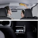 레이디자인 이미지