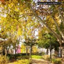 갈울근린공원 이미지