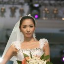 인터플로라