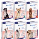 주식회사 버박코리아 이미지