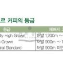 커피엘 - 서구 서곶로 324 | 커피엘