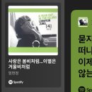 연엔정의료기기 | 나의 2025년은 할리우드를 알기 전과 후로