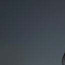 거산 휘트니스 이미지