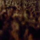 스피드주유소 이미지