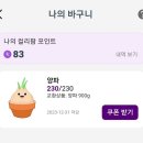 마이컬리팜 양파 수확 후기 (마켓컬리)