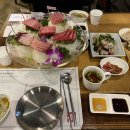 노참치스시