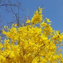 북한산자락길 입구 화장실 이미지