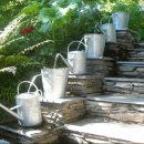 연못이 있는 풍경 이미지