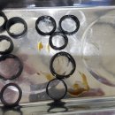 짚퍼스트 이미지