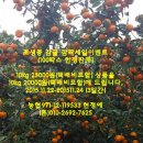 세일농장1 이미지