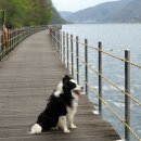 대이리농장 이미지