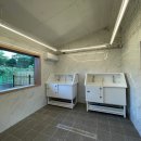 애견세상 이미지