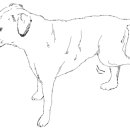 로얄동물메디컬센터w 이미지