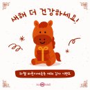 하웰바른자세운동