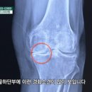 소나무정형외과의원 이미지