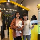 미스터 멍 애견샵 이미지