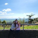 유학농장 이미지