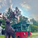 가족호텔 진달래동 이미지