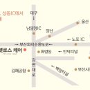 펫로스 케어 이미지