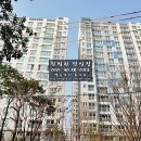 모아미래도(아) 이미지