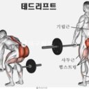 무브투데이PT 이미지