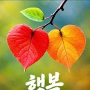 Time To Say Goodbye - Bocelli, Brightman / Souvenirs D'Enfance - Clayderman 이미지
