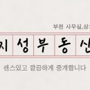 지성부동산중개 이미지