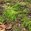 무이농장 이미지